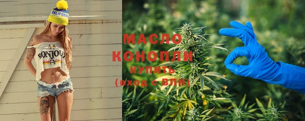 индика Инта