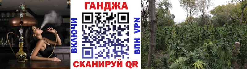 Купить  Агрыз  Канабис семена 